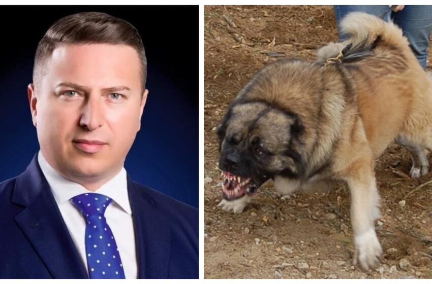  Traian  Ogagău : Turiști puși în PERICOL!? Nu se poate așa ceva!!!