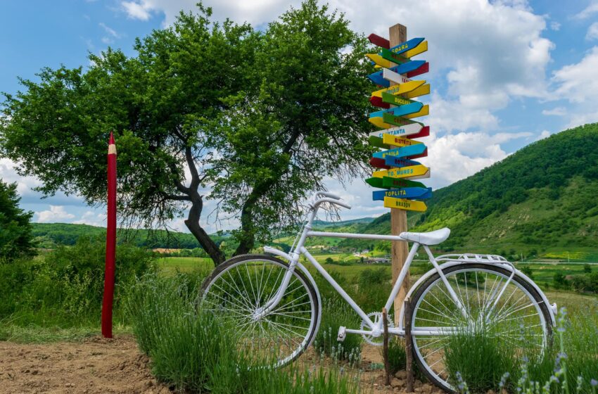  (FOTO/VIDEO) Invitație la relaxare! Dealul cu lavandă din Nușeni, presărat cu surprize felurite în acest weekend