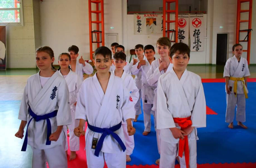  Felicitări ! C.S Karate Bistrița a obținut 19 medalii la Campionatului Național de Karate si Cupa Memorială ”Sensei Ioan Pop” – Baia Mare