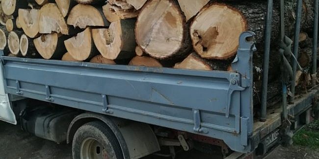  Material lemnos confiscat! Un bărbat din Viișoara a fost sancționat