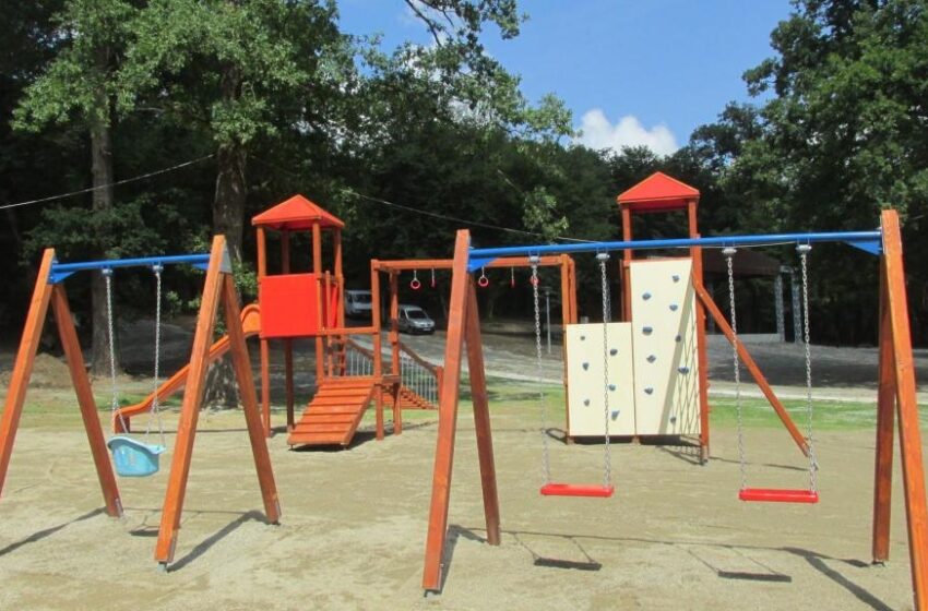  Fetiță de 12 ani preluată în comă alcoolică din Pădurea Schullerwald