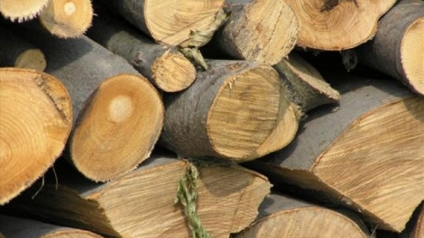  Material lemnos confiscat! Un bărbat din Viișoara a fost sancționat