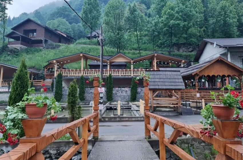  Seară fine dining la Păstrăvăria Rin din Romuli! Tombola pune la bătaie două cuțite speciale pentru norocoși