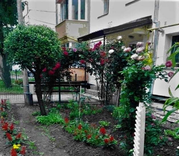  Concurs ,,Bistrița Verde!”  – se premiază cea mai frumoasă grădină cu flori