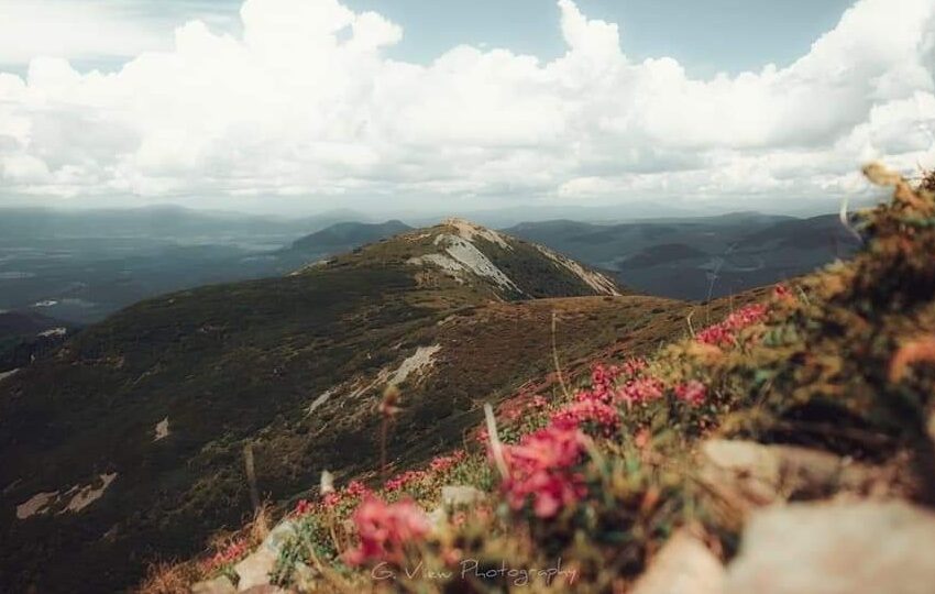  Apel către pasionații de fotografie: Fiți parte din promovarea Porții Transilvaniei!