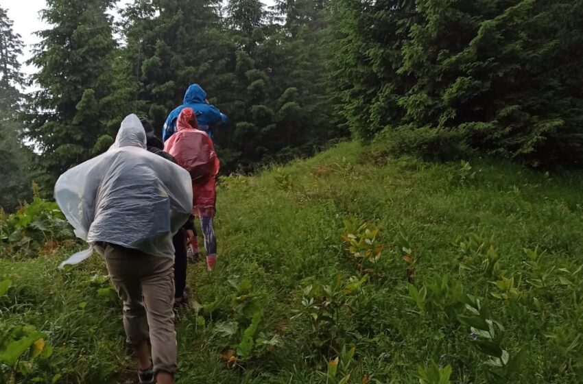  Nas în nas cu ursul! Drumeție cu peripeții, pentru trei turiști aflați în munții Călimani (FOTO)