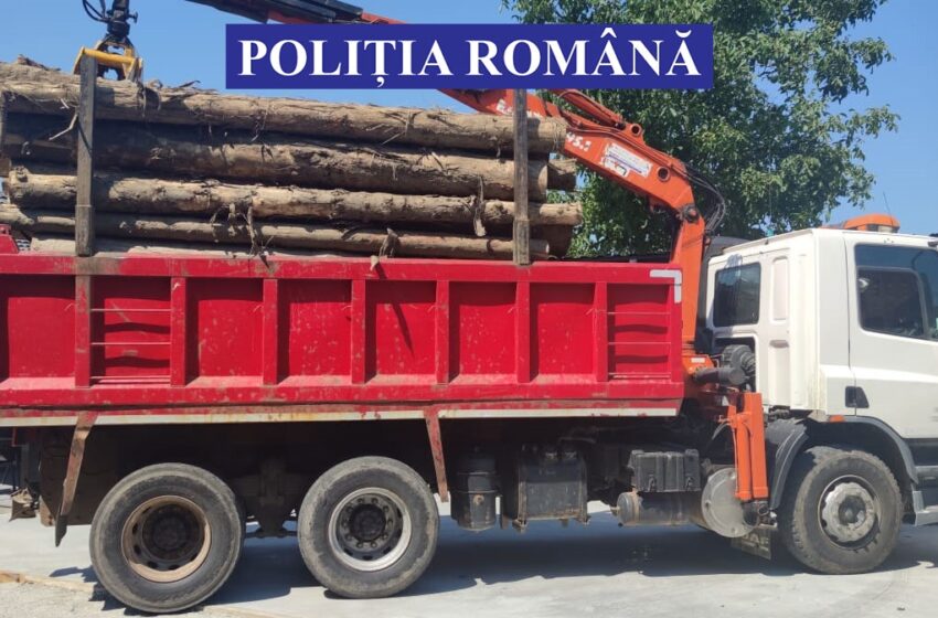  Percheziții la o firmă de prelucrare a lemnului din Bistrița Bârgăului. Peste  10 m.c. de material lemnos, fără acte de proveniență