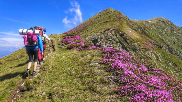  Descoperă fascinata Poartă a Transilvaniei, alături de ghizi acreditați și călăuze ! Consultă lista aici