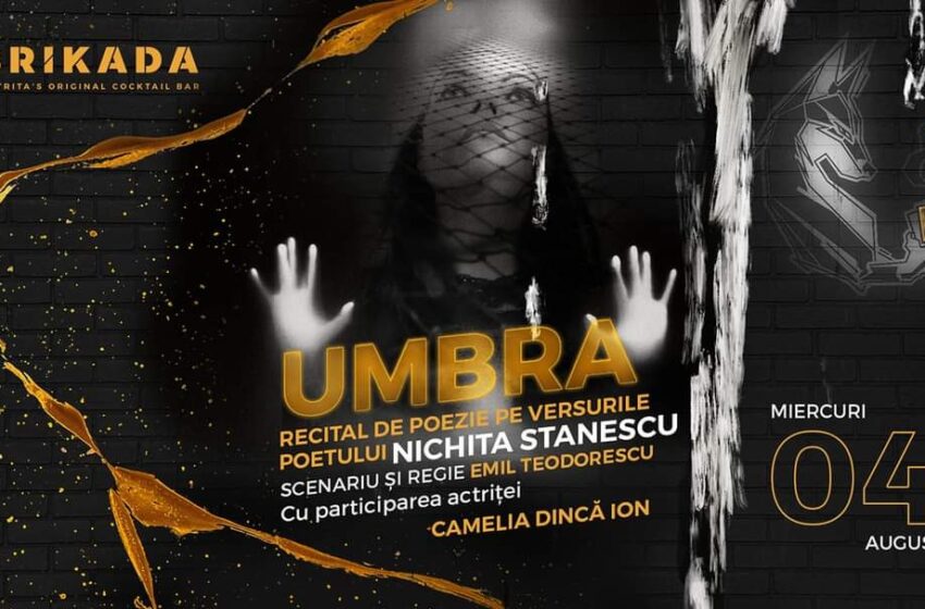  INVITAȚIE: Recital de poezie, la terasa BRIKADA! Actrița Camelia Dincă Ion saltă emoții, pe versurile lui Nichita Stănescu