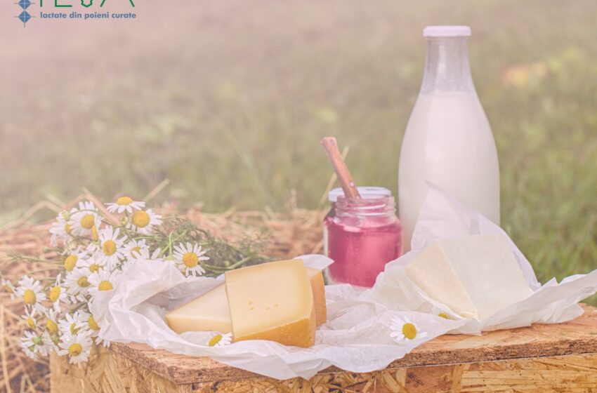  Produse Valea Ilvelor : Proiectul nostru continuă cu cel de-al treilea eveniment, numit „Picnic în fermă”