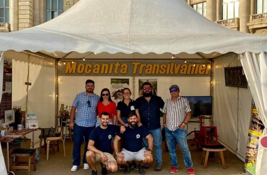  ,,Asociația Mocănița Transilvaniei” a ajuns la Senat! Au fost adoptate primele 20 de traverse!