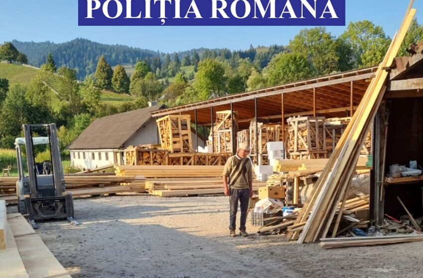  (FOTO) Sancțiuni la mai multe depozite de lemne, dar și la o exploatație forestieră de pe Valea Sălăuței!