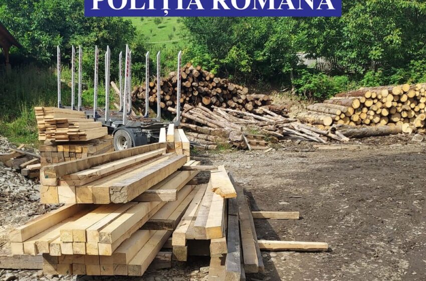  Mai multe ocoale silvice de pe Valea Bârgăului și Budacului, controlate! Peste 50 mc de lemn, confiscat