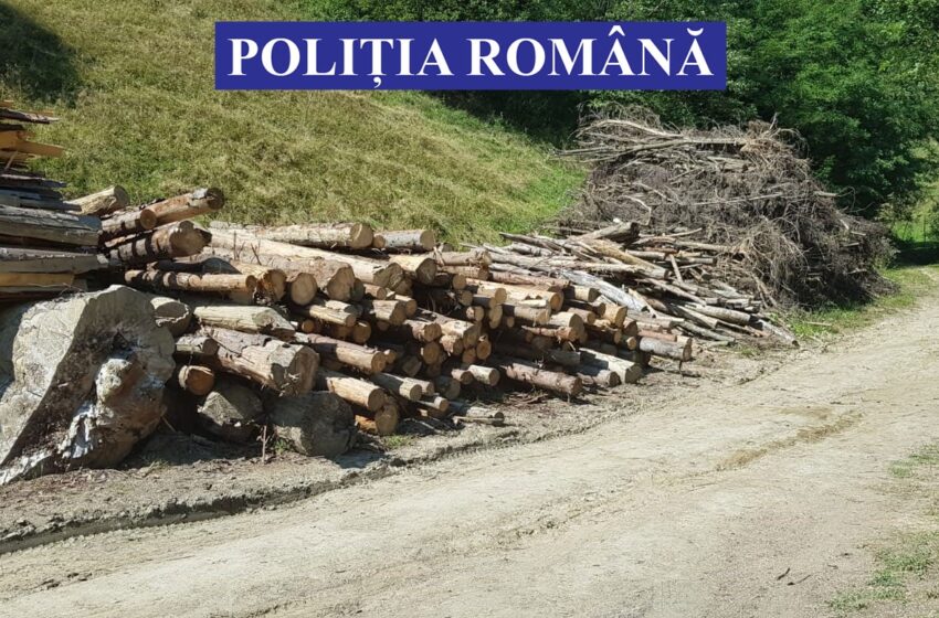  (FOTO) Percheziții la două depozite de material lemnos de pe Valea Țibleșului și Someșului! S-a lăsat cu sancțiuni