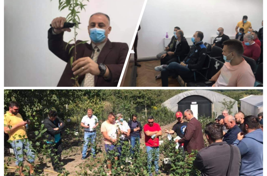  (FOTO) Cum s-a desfășurat Cursul de altoire organizat de Clubul Lions? Care au fost principalele activități