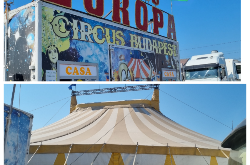  Unde ieşim săptămâna asta, în Bistrița? De astăzi suntem așteptați la ,,Circul Europa”, pe Calea Moldovei!