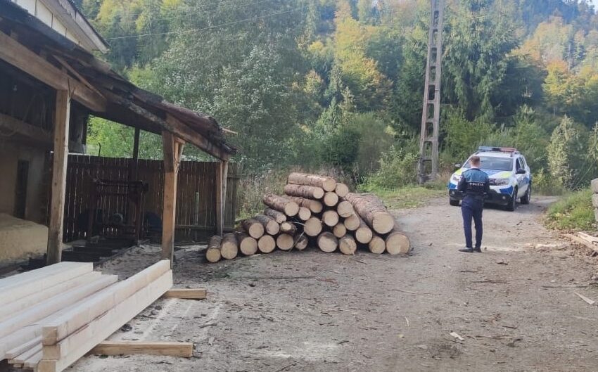  (FOTO) Verificări în domeniul exploatării forestiere, pe Valea Bârgăului și Valea Sălăuței!