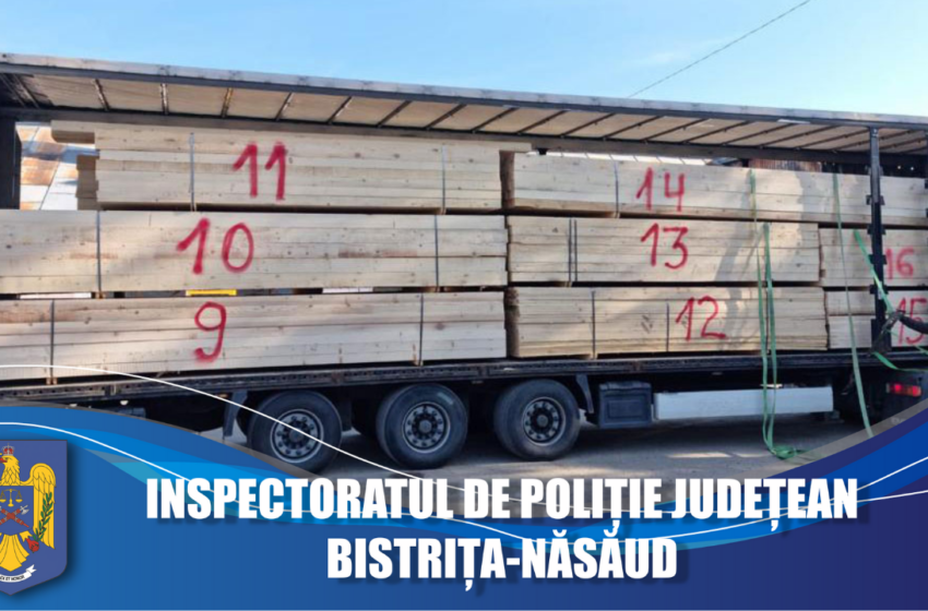  (FOTO/VIDEO) Dosar penal pentru un șofer care transporta material lemnos ilegal. A depășit cu 15 mc cantitatea înscrisă în aviz