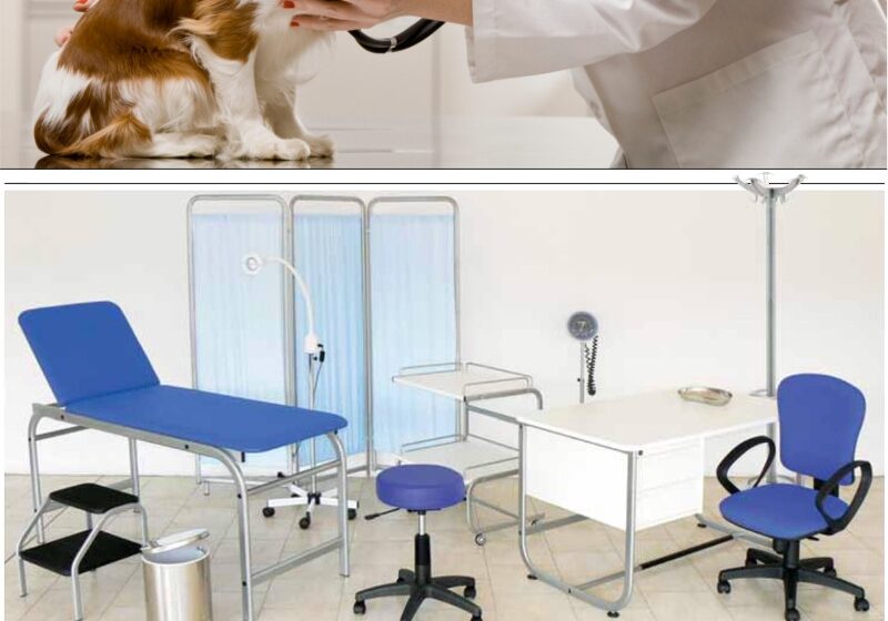  Percheziții la un cabinet veterinar din Bistrița, suspectat de intervenții de mutilare asupra animalelor