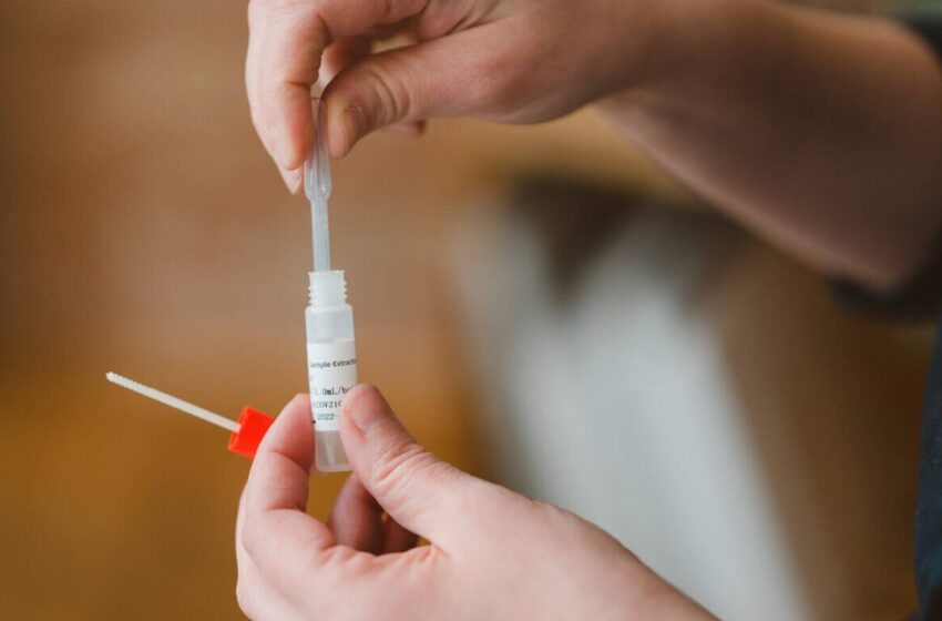  ISJ BN a recepționat prima tranșă de teste antigen din salivă. Elevii vor fi testați acasă