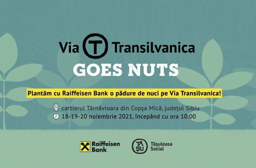  PRIMA pădure de nuci, pe Via Transilvanica! Când încep plantările și câte zile durează