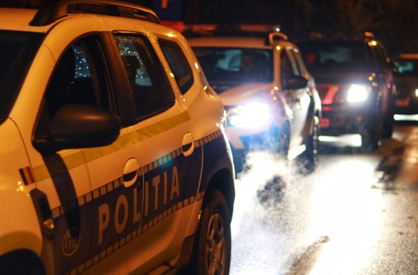  (VIDEO) 25 de percheziții în județ, într-un dosar vizând tăierea și furtul de arbori, fals intelectual și uz de fals
