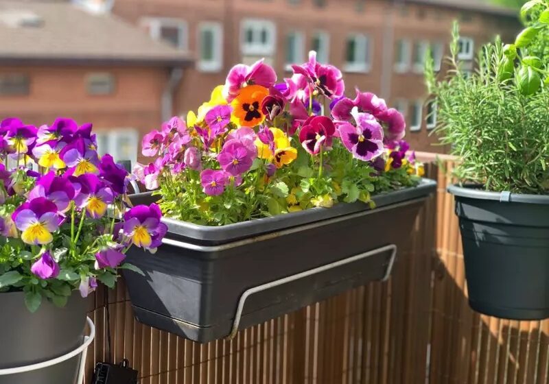  Concursul ,,Bistrița Verde” s-a încheiat! Au fost desemnați câștigătorii cu cele mai frumoase aranjamente florale