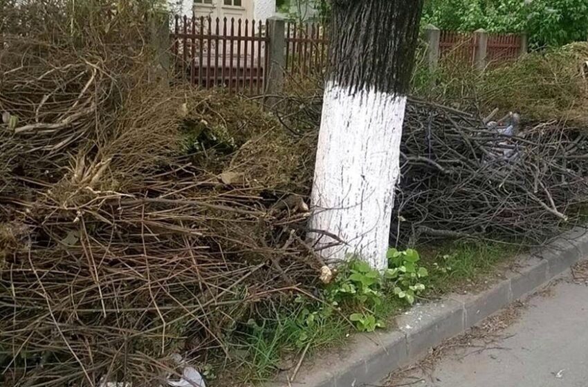  Campanie GRATUITĂ de colectare a deșeurilor vegetale în perioada 8 – 13 noiembrie 2021 în județul Bistrița-Năsăud!