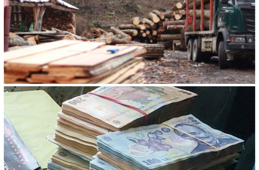  UPDATE: Ce au descoperit polițiștii, în urma celor 25 de percheziții pentru destructurarea unui grup infracțional organizat
