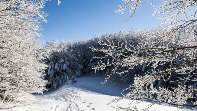  În această dimineață s-a înregistrat cea mai scăzută temperatură din acest sezon, în Lunca Ilvei