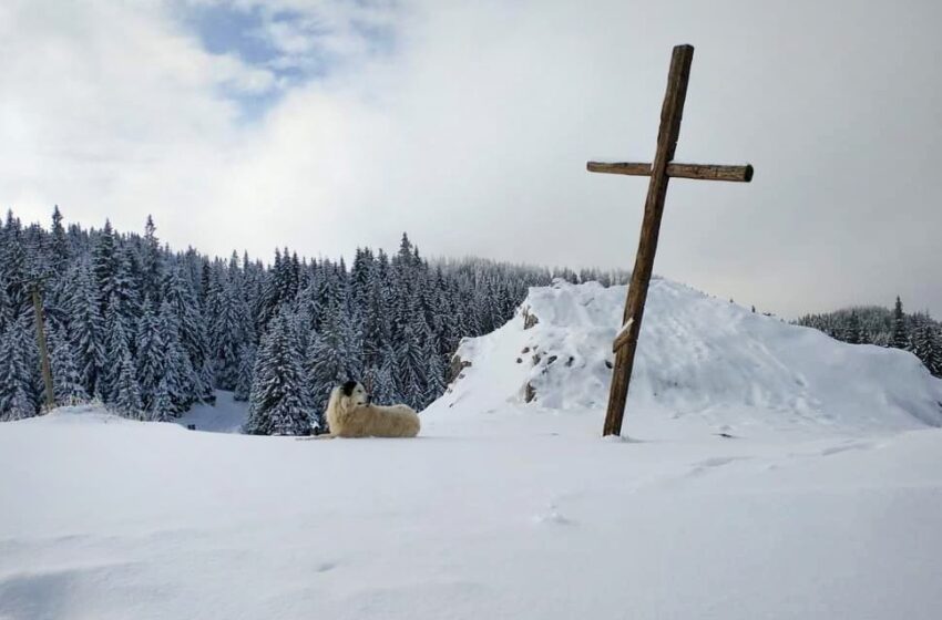  ATENȚIONARE METEO. Vremea geroasă își intră îndrepturi! Unde s-a înregistrat cea mai mică temperatură azi-dimineață