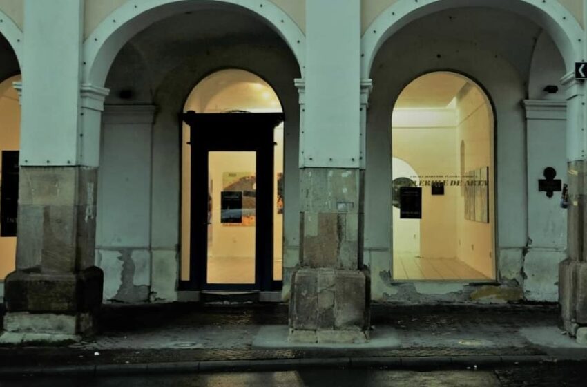  Expoziție de excepție la Bistrița. Uniunea Artiștilor Plastici expune lucrări, la Galeria Arcade 24