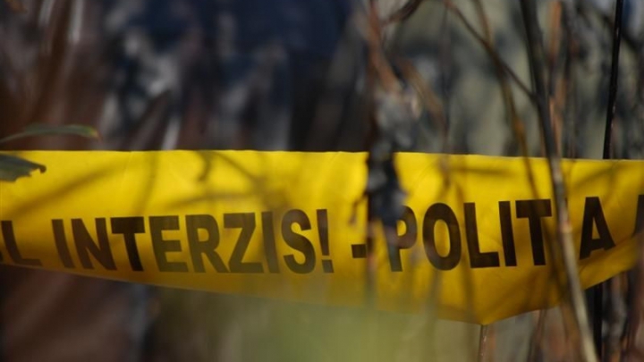  Doi bărbați au decedat, striviți de un copac, într-o pădure din Parva