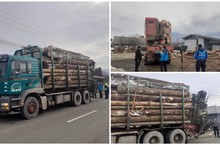  Bistrița-Năsăud: Controale ample în domeniul silvic. Au fost aplicate sancțiuni, în valoare totală de 76.760 de lei