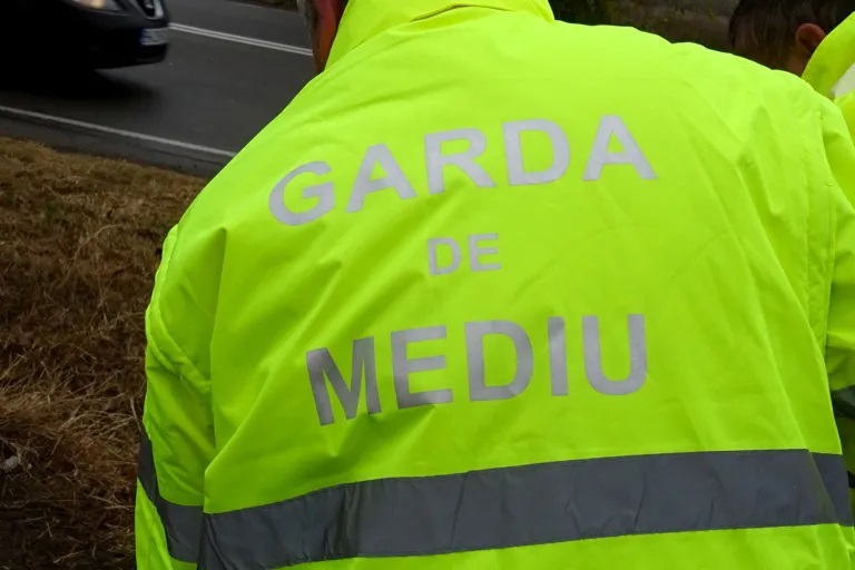  Comunicat Garda de Mediu: Plimbarea câinilor nu este permisă pe spațiile verzi! Deținătorii de câini au obligația de a utiliza pungi pentru colectarea dejecțiilor!