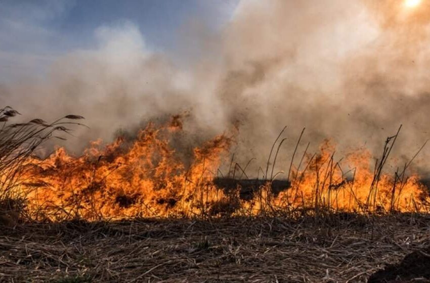  Năsăud: Un bărbat a fost găsit decedat pe câmp, în urma unui incendiu de vegetație