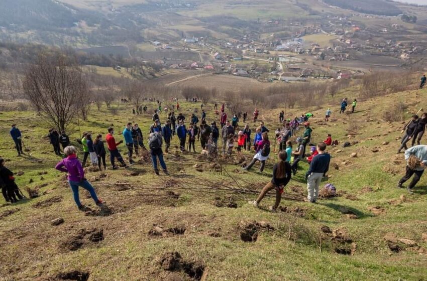  Ultima săptămână de înscrieri la Maratonul Împăduririlor „Pădurea Transilvania 6.0”, a anunțat Tășuleasa Social