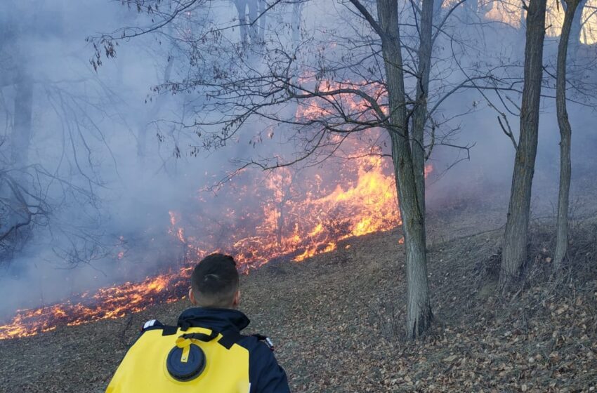  Atenție la incendiile de vegetație! Dosare penale întocmite și amenzi pe măsură