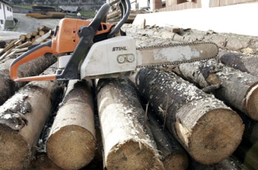  Controale la depozite și transporturi de material lemnos pe raza județului. Cât a fost valoarea amenzilor aplicate de polițiști