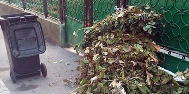 Primarul Doru Crișan: ”Luni, 4 Aprilie, pe raza comunei noastre se desfășoară campania de colectare a deșeurilor vegetale”