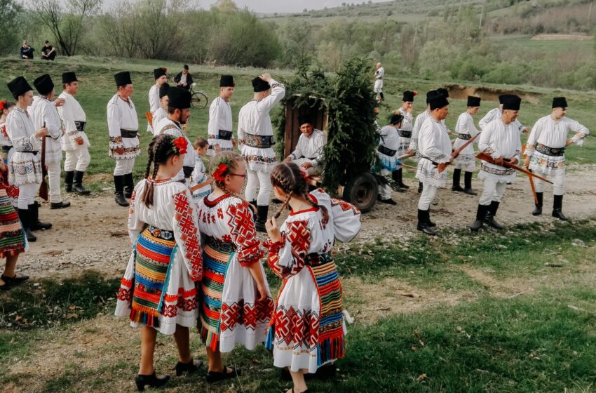  (Foto) Obiceiul Plugarului la Șieuț – ieșitul plugului întâi