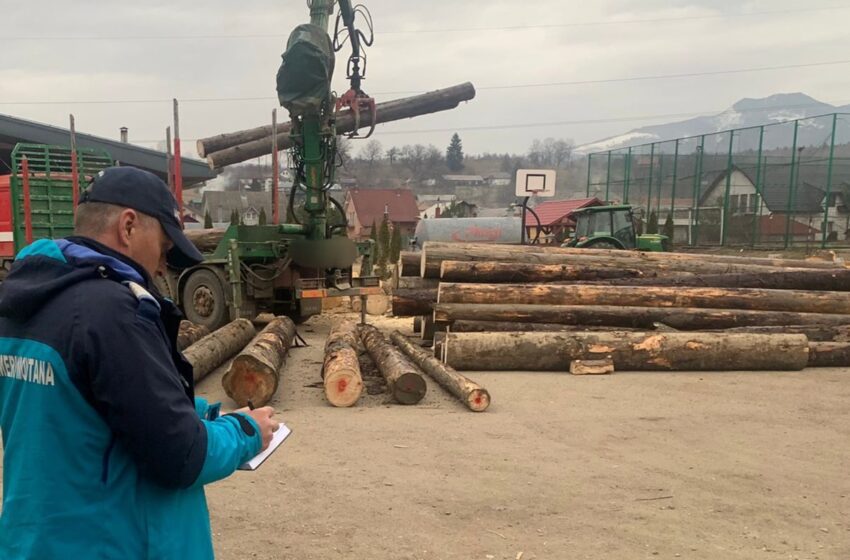  (FOTO) Transport ilegal de material lemnos, sancționat de către jandarmii montani din Colibița