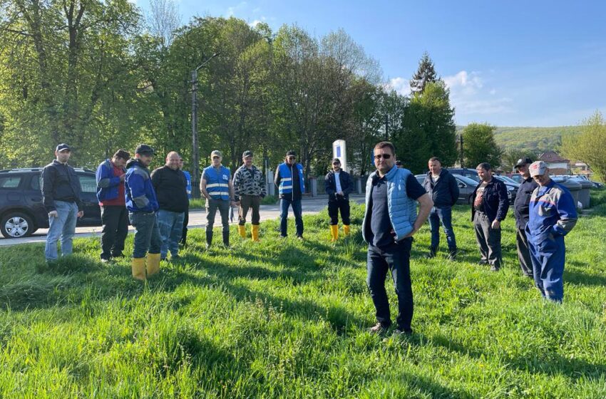  Trei tone de deșeuri, strânse de angajaţii de la Apele Române Bistrița-Năsăud, într-o singură zi, de pe malurile râului Bistrița