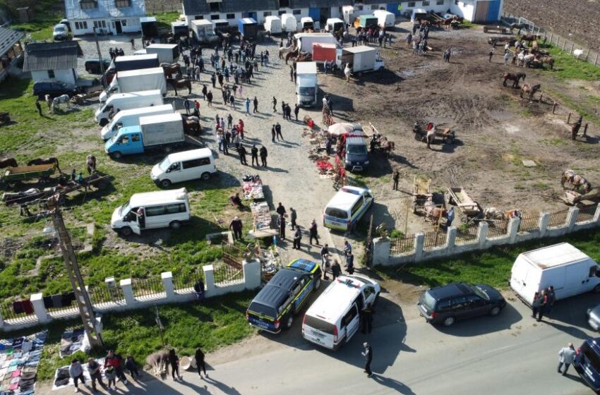  Un târg de cai organizat ilegal a fost oprit în urma unei acţiuni a poliţiştilor. Amenzi de aproape 50.000 de lei 