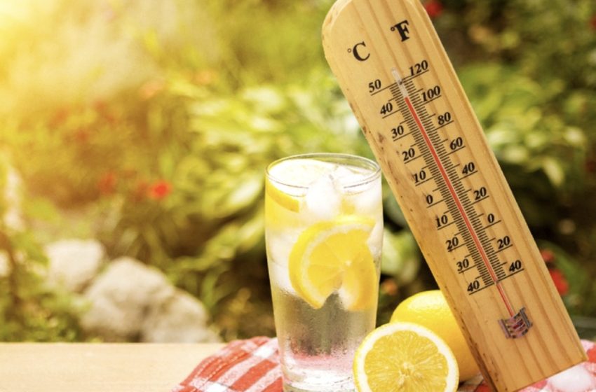  Fructele și legumele, prietenele noastre pe timp de caniculă. Cum ne protejăm de temperaturile excesive