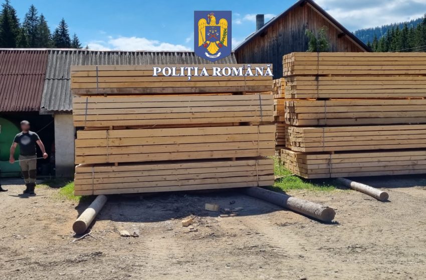  Bistrița-Năsăud: Material lemnos confiscat în urma unor controale în trafic