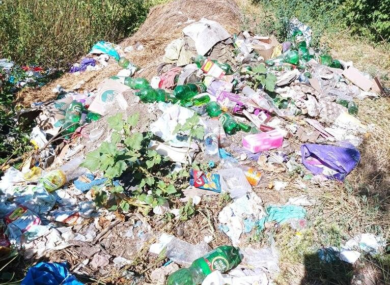  Directorul ADI Deșeuri Bistrița-Năsăud, Cristian Niculae: Nu tolerăm abandonul deșeurilor în natură!