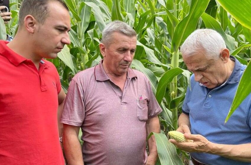  Petre Daea, Ministrul Agriculturii, împreună cu Bogdan Ivan Gruia, în vizită la mai multe ferme din județul Bistrița-Năsăud