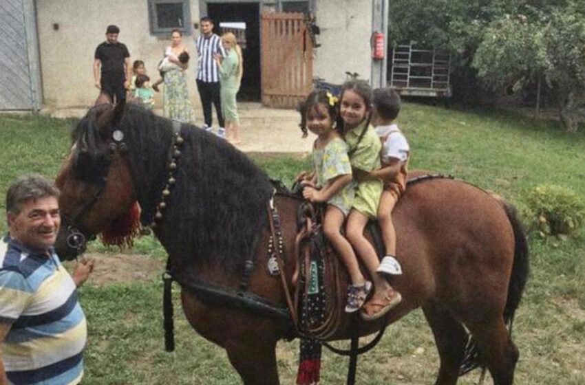  Plimbări cu caii la Colibița, în acest weekend! Ce surprize au mai pregătit organizatorii