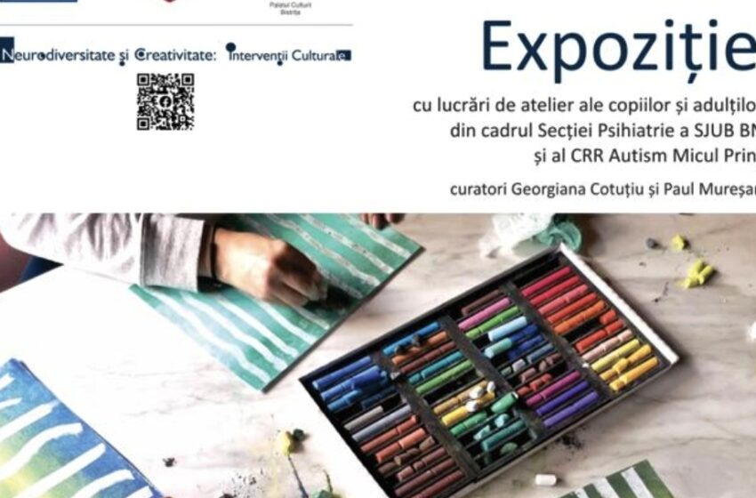  Expoziție de lucrări ale copiilor și adulților din cadrul Secției Psihiatrie a SJUB BN și al Centrului de Resurse și Referință în Autism Micul Prinț, la Casa cu Lei